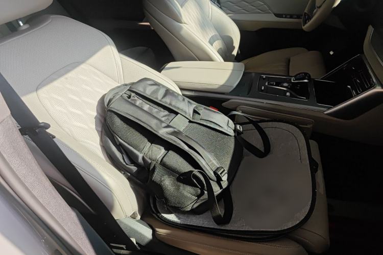 Used BYD Tang New Energy 2025 DM-i 115KM Cloud Ride Flagship Model Right Front Seat