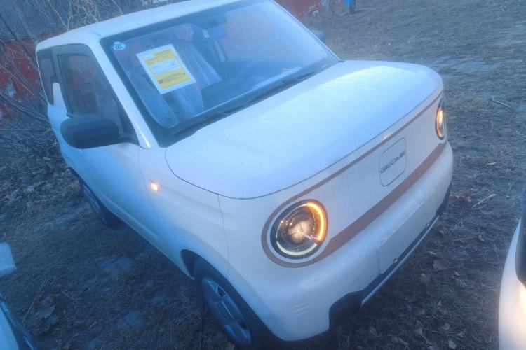 Used Geely Galaxy Panda 2024 Panda Mini 200km Endurance Bear