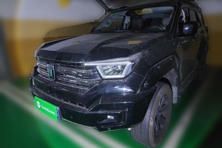 Used Tank 400 2025 2.0T Gasoline Version