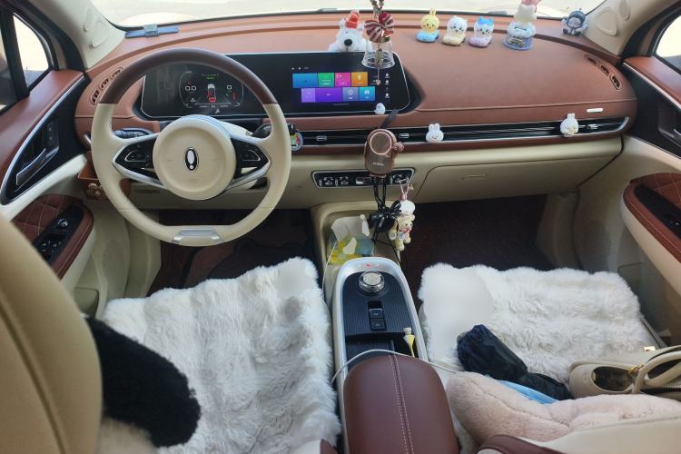 Used ORA Good Cat 2022 400km Standard Range Luxury Version Lithium Iron Phosphate