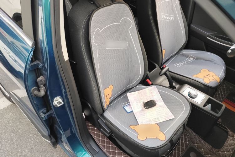 Used Dayun Yuehu 2022 300 Standard Edition
