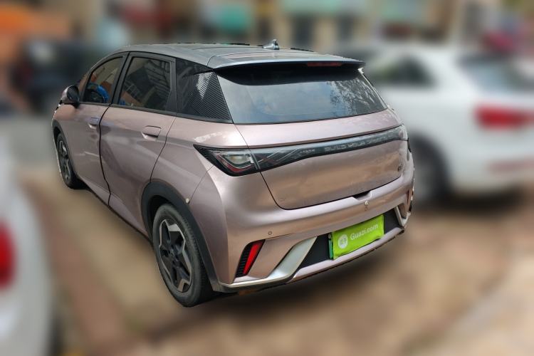 Used BYD Dolphin 2021 405 km Fashion Edition Rear Left 45 Deg