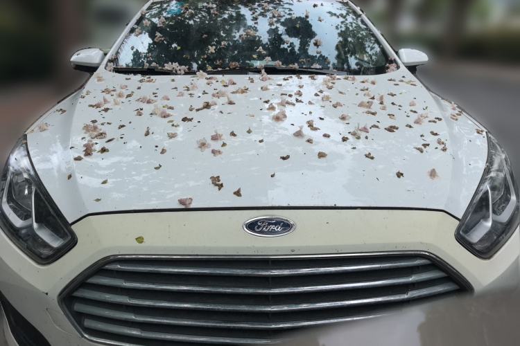 Used Ford Escort 2017 Revised Version 1.5L Automatic Comfort Edition Front