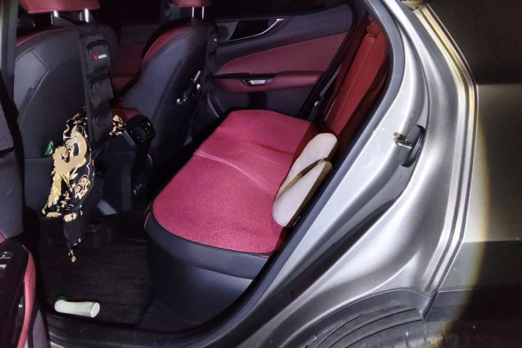 Used Lexus NX New Energy 2023 400h+ Comfort Edition Left Rear Seat