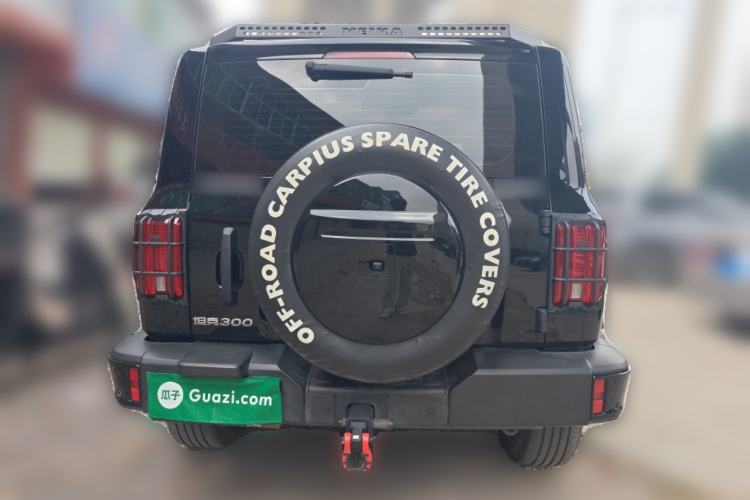 Used Tank 300 2024 2.0T Conqueror Rear