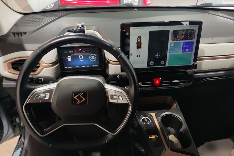 Used SOL E10X 2022 Flower Fairy Style Baby's Breath