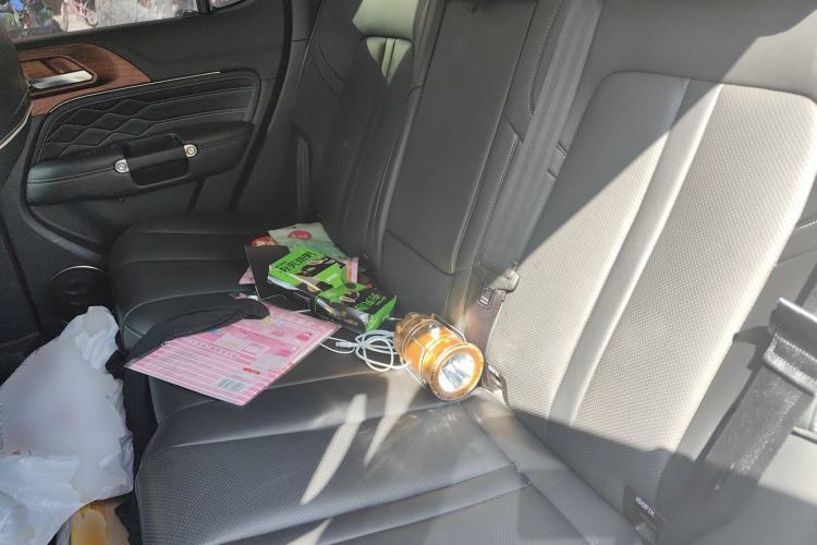 Used Tank 300 2021 2.0T Wind & Forest Iron Rider