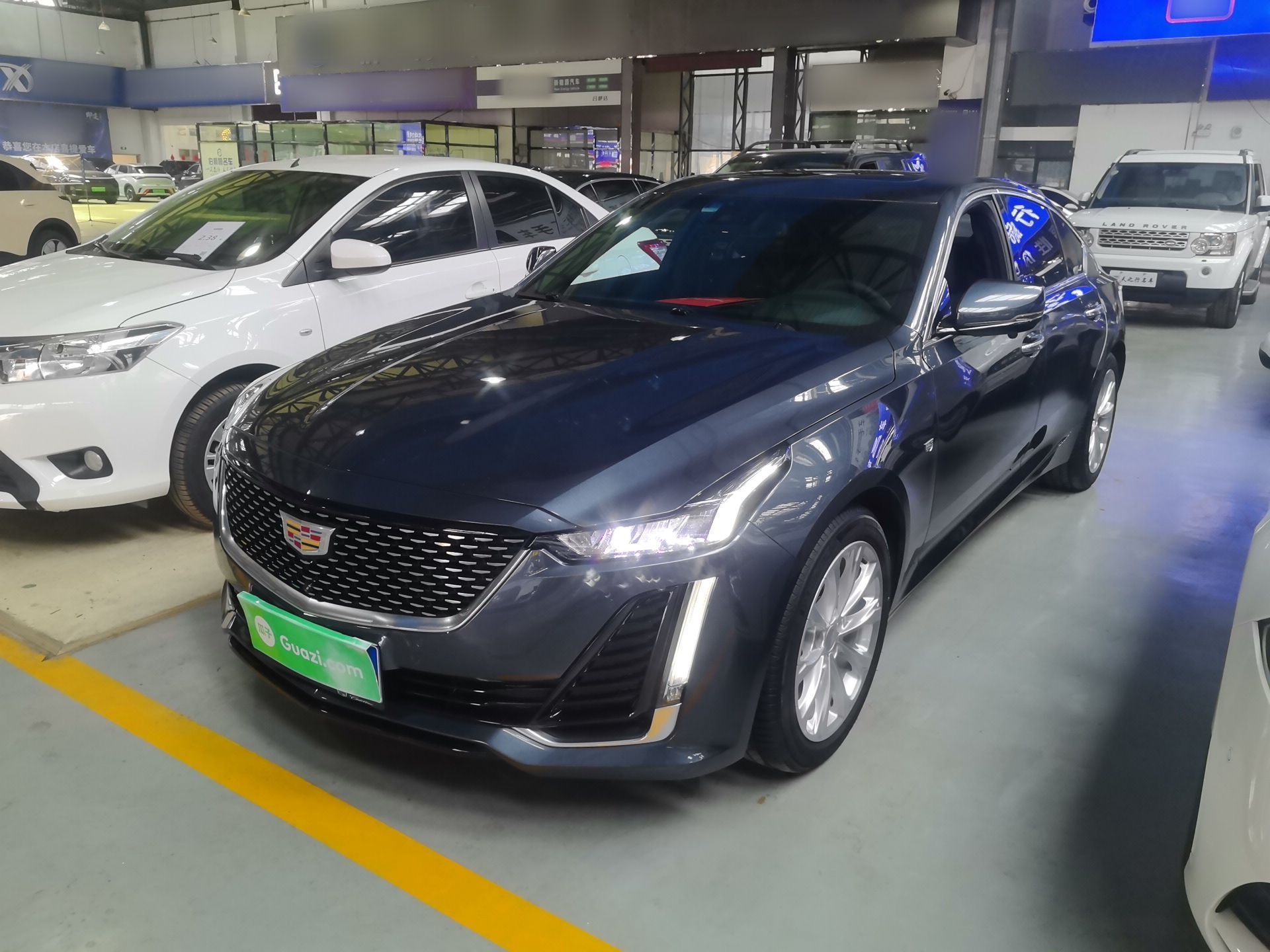 Parte inferior delantera