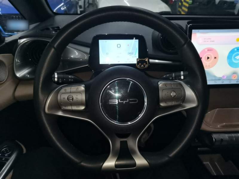 Used BYD Dolphin 2021 405 km Fashion Edition — 10