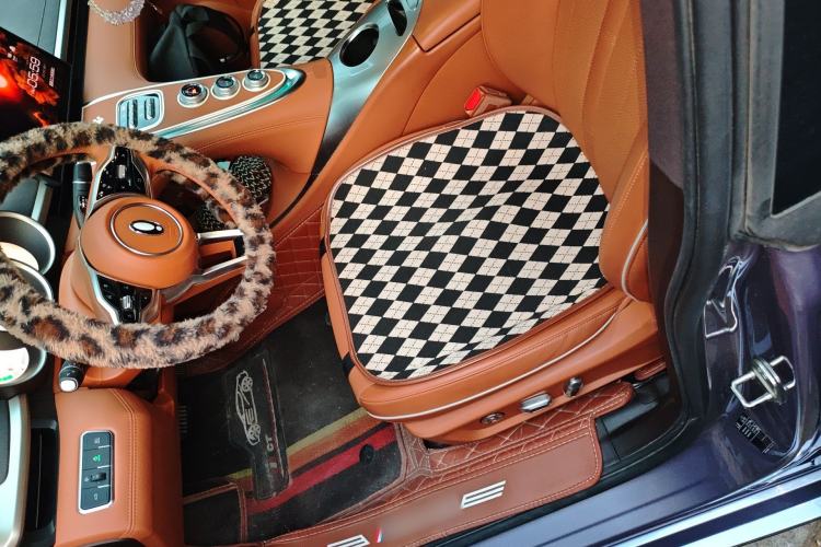 Used ORA Lightning Cat 2022 555 km Luxury Edition
