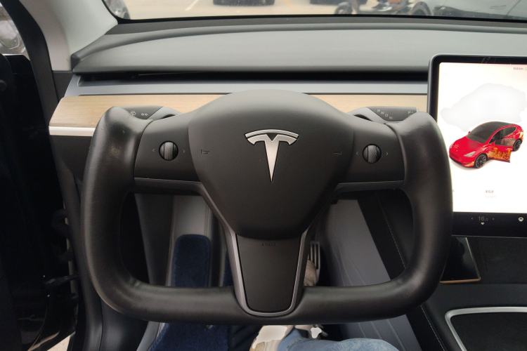 Used Tesla Model Y 2021 Standard Range Rear-Wheel Drive Version
