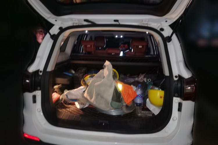 Used FORTHING T5L 2020 1.5T Automatic Luxury Model 5 Seats China VI Standard
