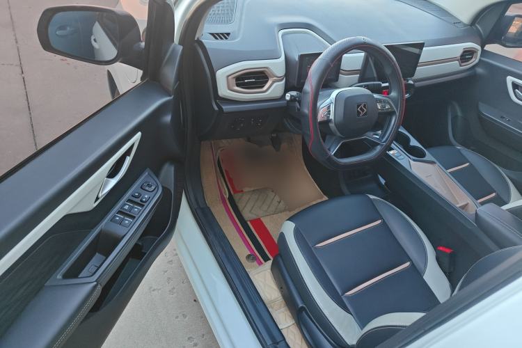 Used SOL E10X 2022 Flower Fairy Design Four-Leaf Clover