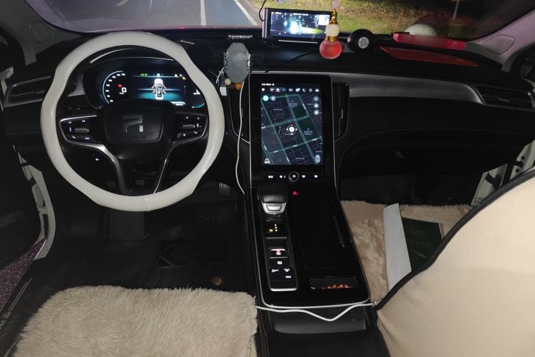 Used Rising ER6 2021 New Dynamic Edition 620km Smart Drive Version