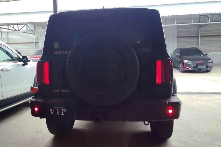 Used Tank 300 2024 2.0T Conqueror