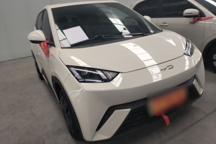 Used BYD Seagull 2023 Free Edition Exterior 1