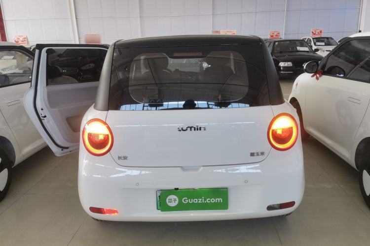 Used Qiyuan Lumin 2023 205km Xiangqin Version
