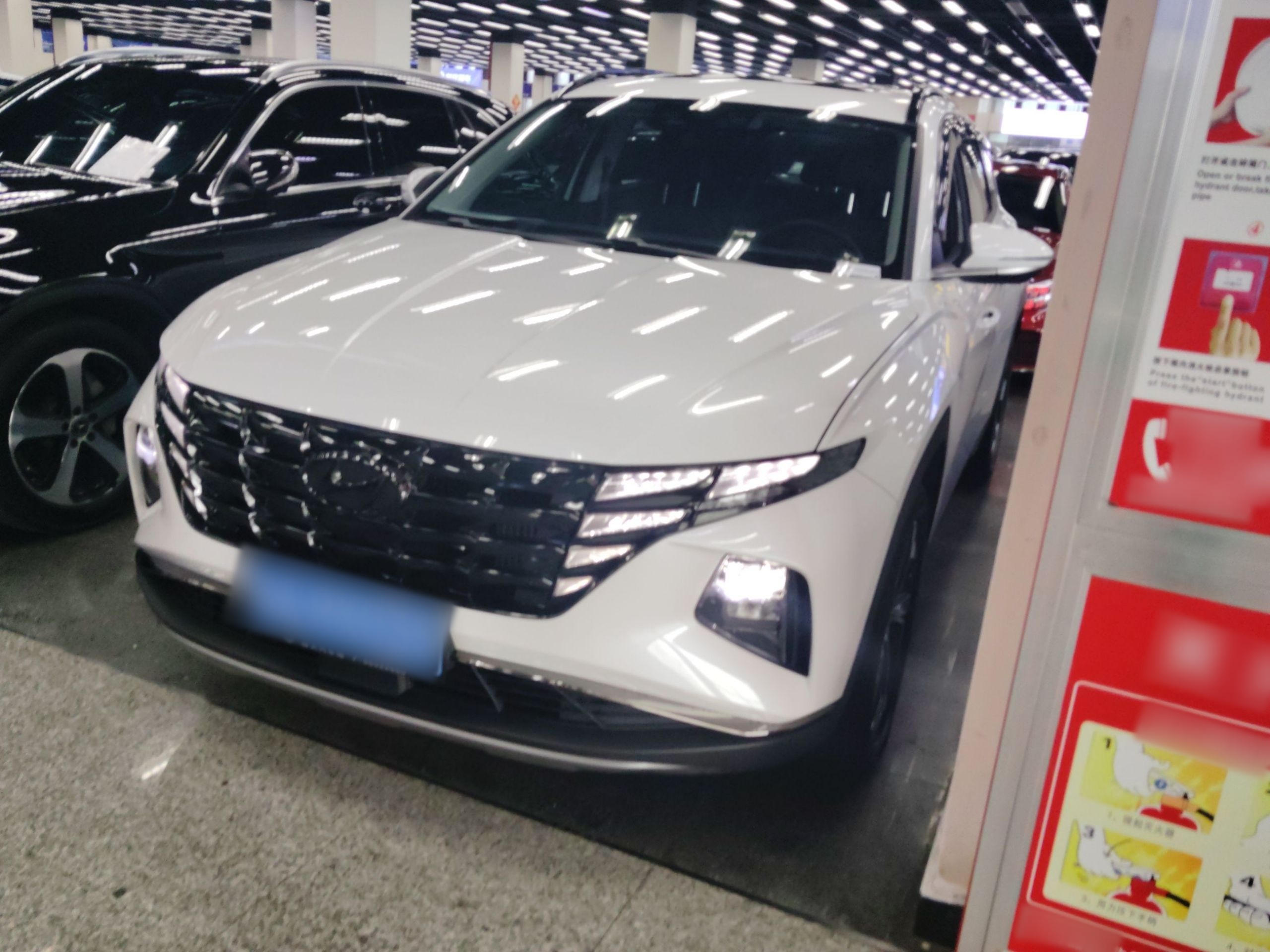 تحت مقدمة السيارة