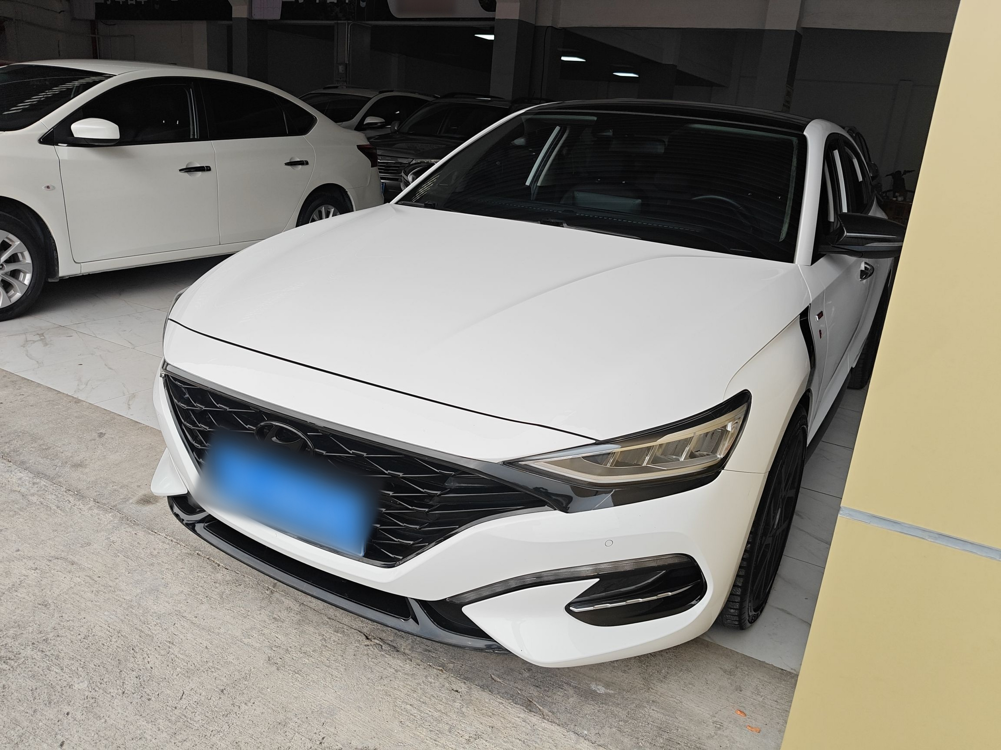 Parte inferior delantera