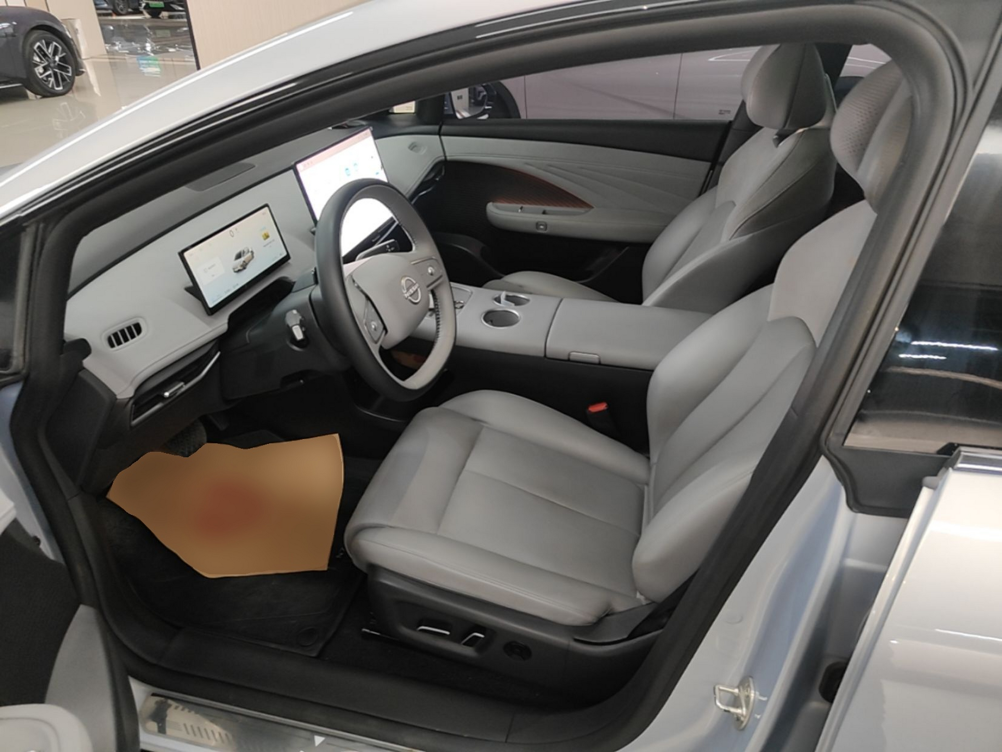 Interior delantero