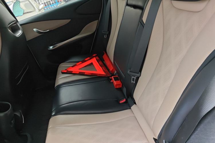 Used BYD Dolphin 2023 420 km Fashion Edition Left Rear Seat