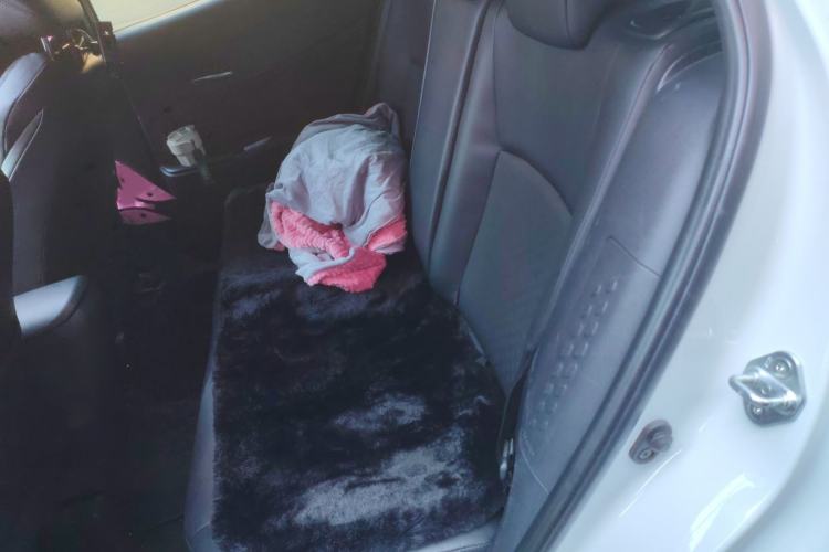 Used Toyota IZOA 2023 Dual-Motor 2.0L Yichi Edition
