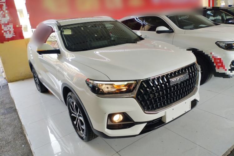 Used Haval H6 2023 National Trend Edition 1.5T Automatic Urban Version
