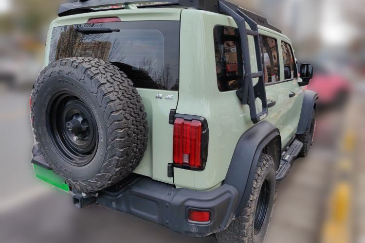 Used Tank 300 2021 2.0T Wind & Forest Iron Rider
