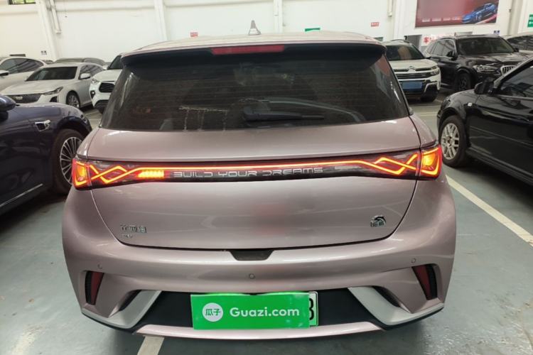 Used BYD Dolphin 2023 420 km Free Version Rear