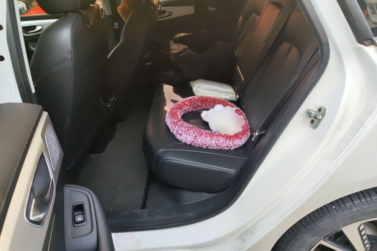 Used Rising ER6 2021 New Dynamic Edition 620km Smart Drive Version