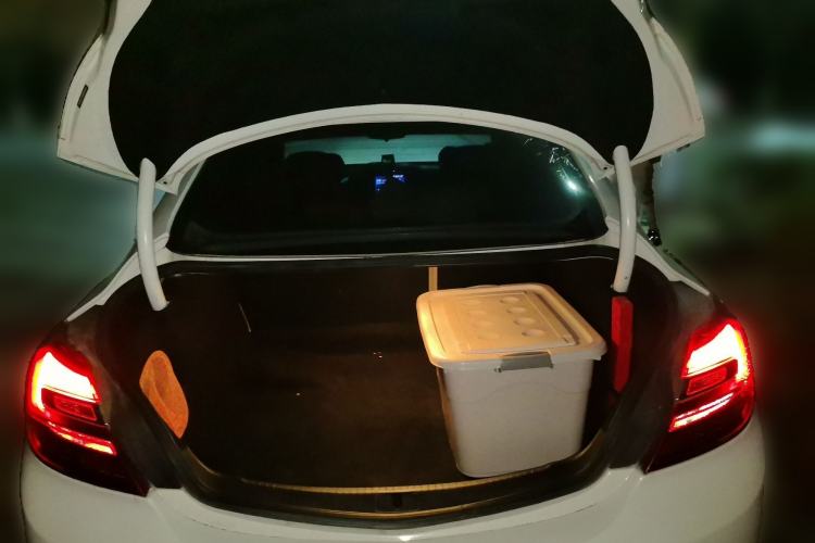 Used Buick Regal 2015 2.0L Leading Fashion Edition