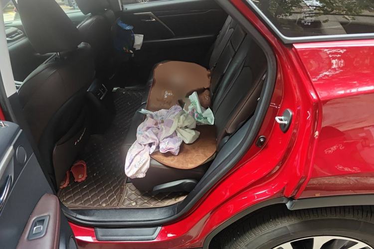 Used Lexus RX 2020 300 Two-Wheel Drive Comfort Edition China VI Standard