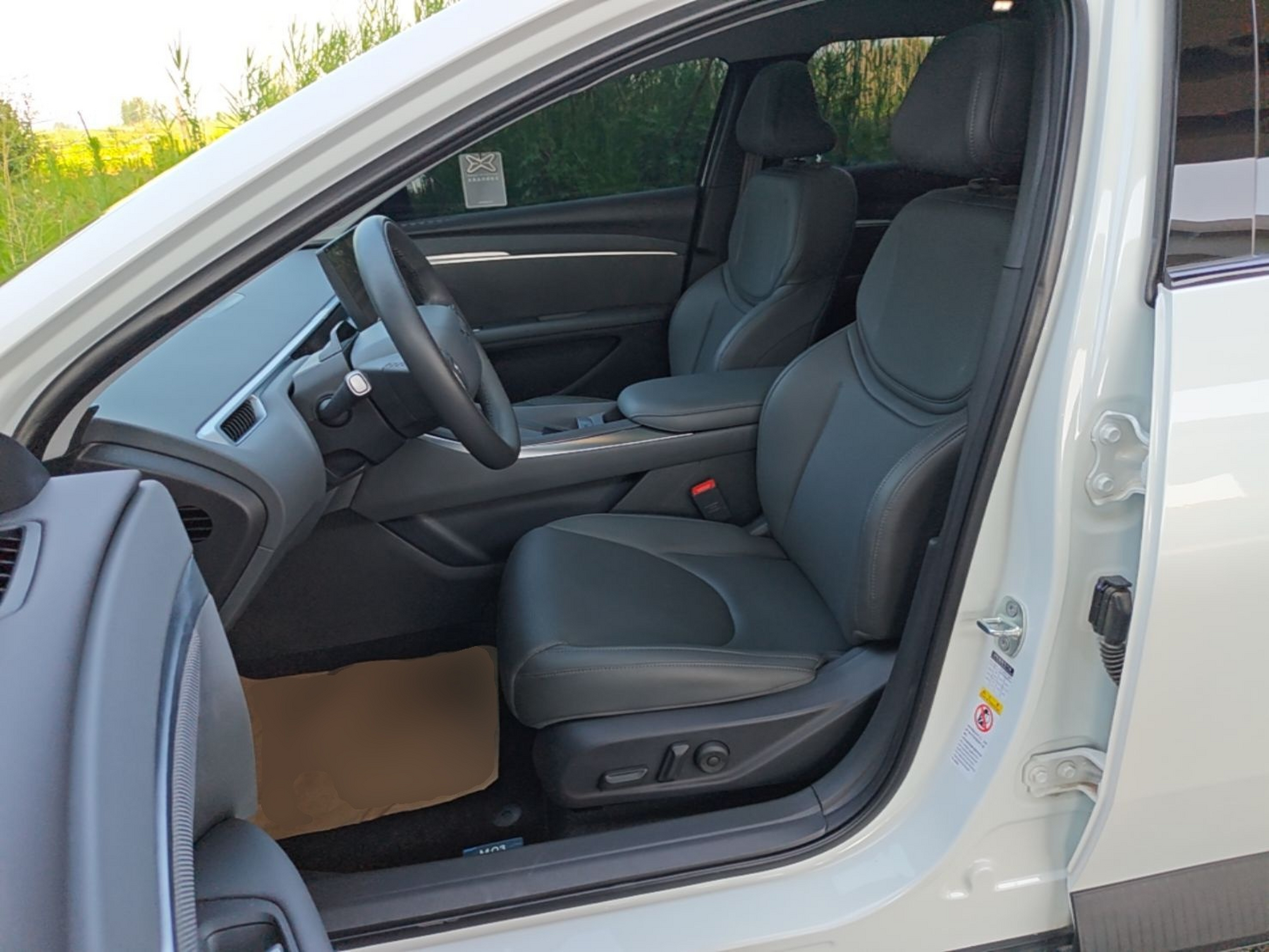 Interior delantero