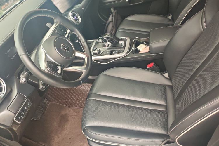 Used Tank 300 2024 2.0T Conqueror