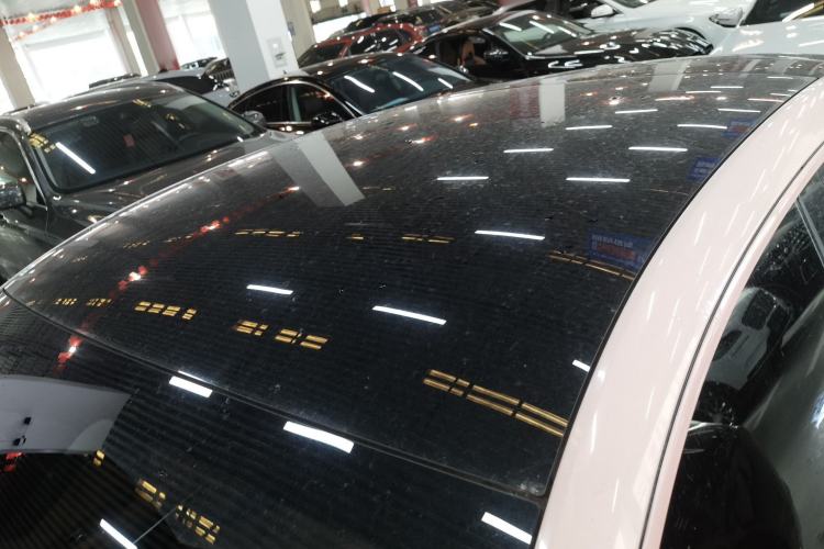 Used ORA Lightning Cat 2022 555 km Luxury Edition
