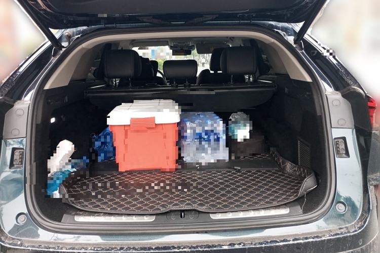 Used Wey Mocha New Energy 2022 1.5T Zero-Anxiety Performance Edition