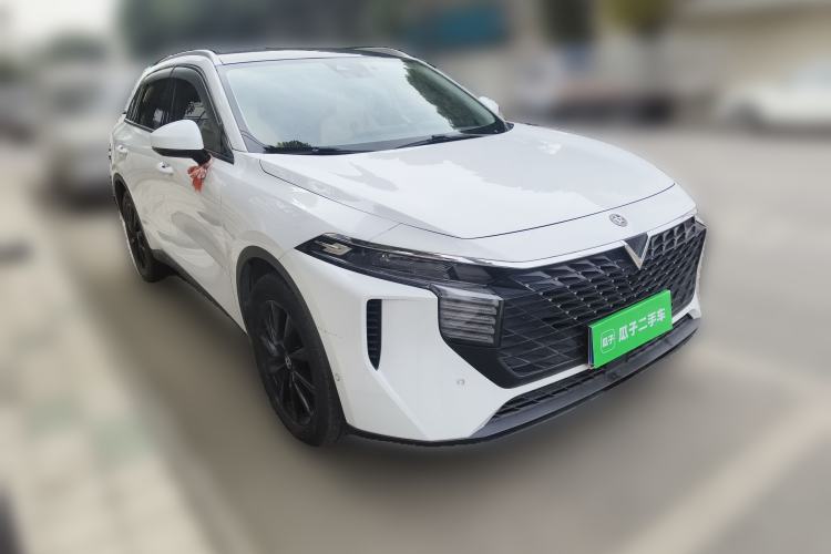 Used Venucia V 2021 260T Tianwang Edition
