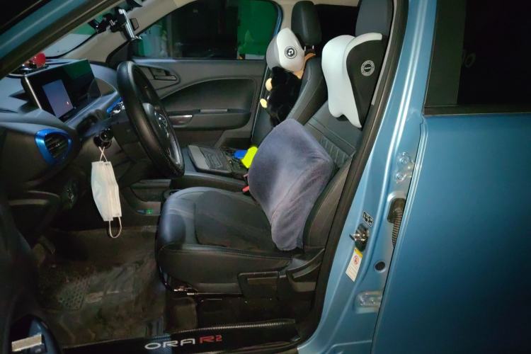 Used ORA White Cat 2020 401 km Flagship Version
