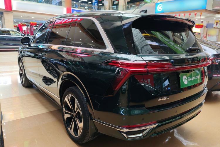 Used Wey Lanshan 2023 Four-Wheel Drive Ultra-Long Range Version Rear Left 45 Deg