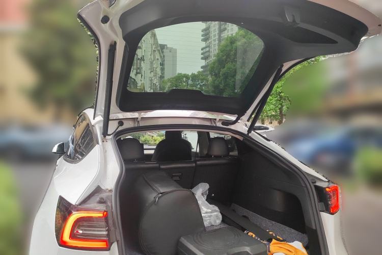 Used Tesla Model Y 2021 Standard Range Rear-Wheel Drive Version
