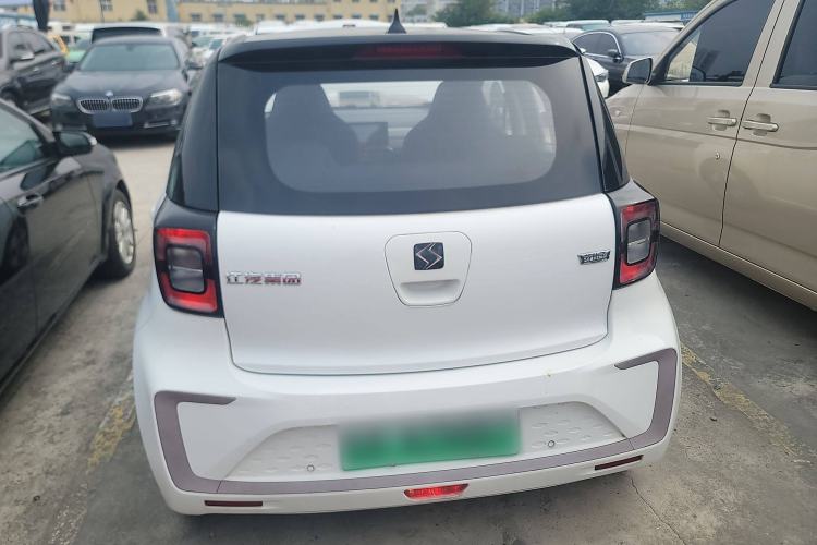 Used SOL E10X 2022 Flower Fairy Design Dandelion