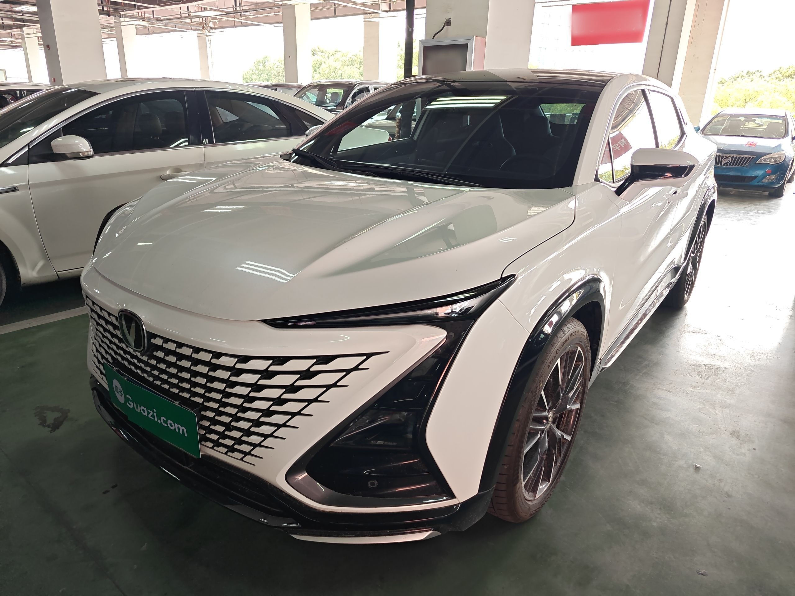 Parte inferior delantera