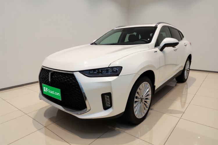 Used Wey P8 2018 2.0T Flagship Model