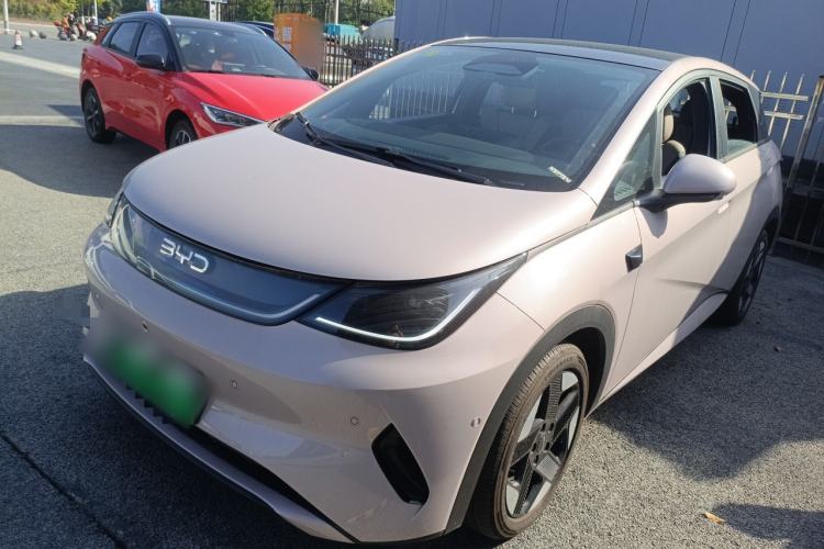 Used BYD Dolphin 2025 Intelligent Driving Version 520km Range Knight Edition