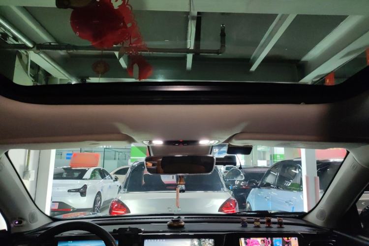 Used Leapmotor C11 2021 Luxury Edition Headliner