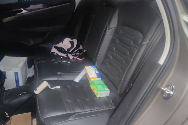 Used Volkswagen Passat 2019 330TSI Elite Edition China V Standard Left Rear Seat