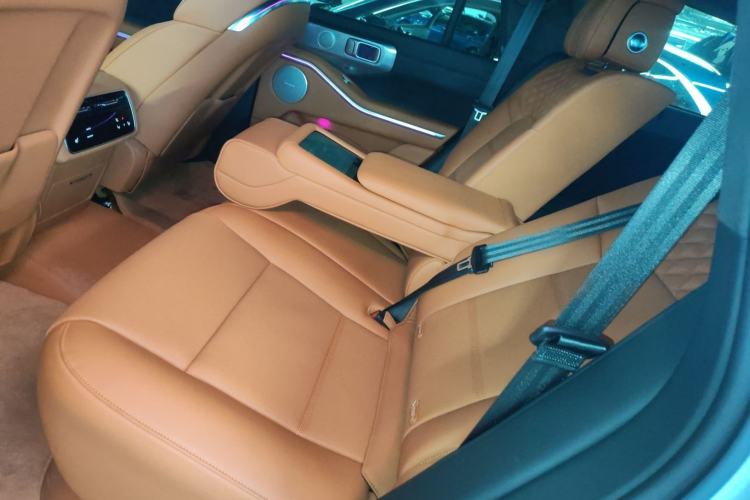 Used Tank 700 New Energy 2024 Hi4-T Extreme Edition Left Rear Seat