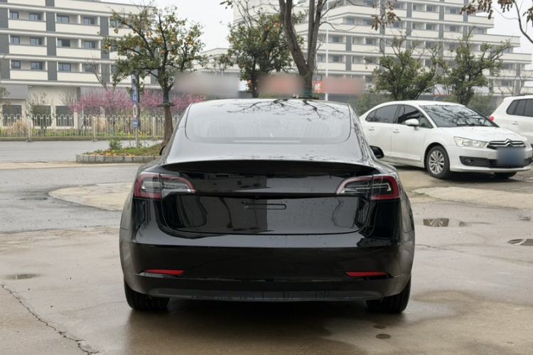 Used Tesla Model 3 2019 Standard Range Rear-Drive Upgraded Version Exterior 8