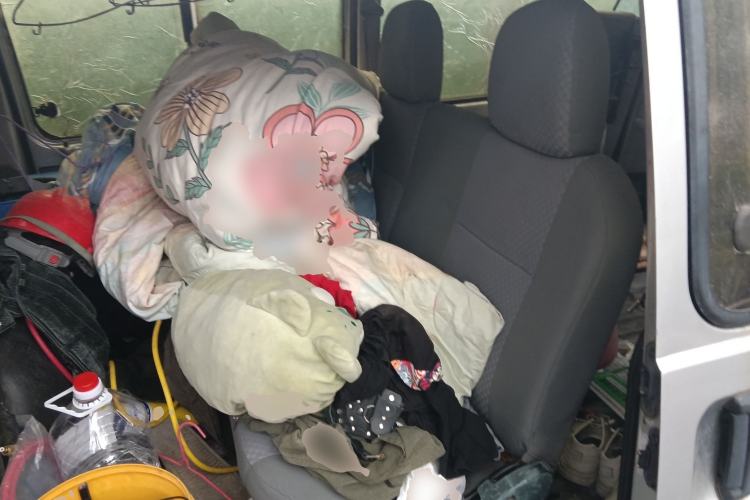 Used Soueast Delica 2008 2.0L Economy Version
