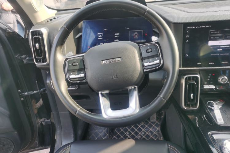 Used Haval DARGO 2021 2.0T DCT 4x4 Chinese Rural Dog Edition